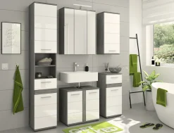 Hängeschrank ASSELA