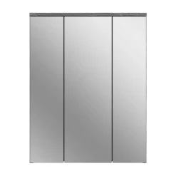 Spiegelschrank ASSELA